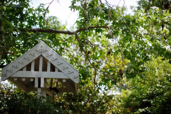 Royal Botanic Gardens Melbourne wedding, Holly and Daniel, frame 026