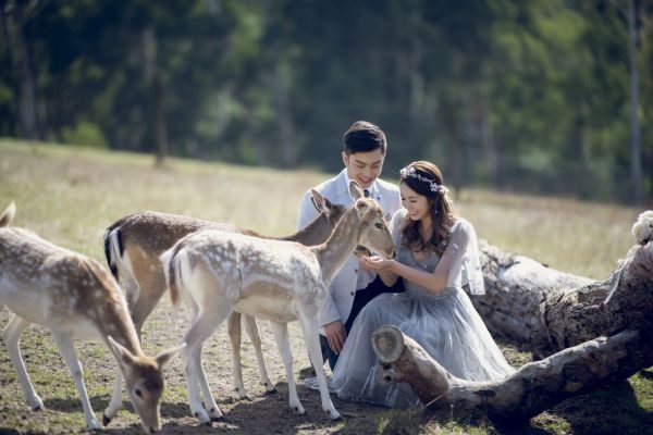 Wendy and Peter's pre-wedding session in St Kilda, frame 007