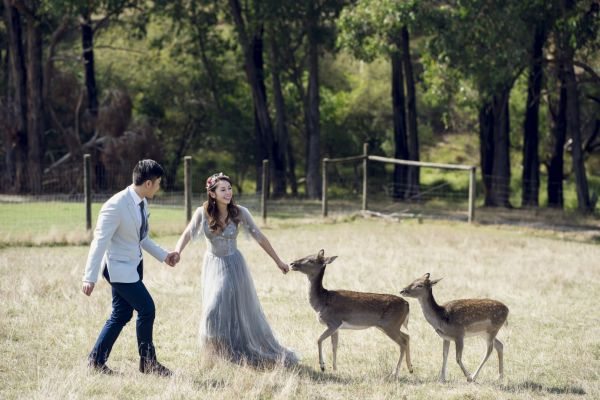 Wendy and Peter's pre-wedding session in St Kilda, frame 013