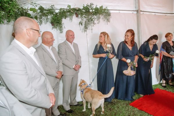 Andrea and Matt's wedding day in Hobart, frame 087