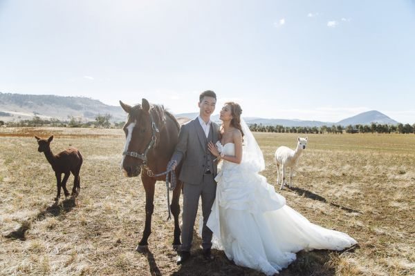 Angel and Andrew's pre-wedding session in Tasmania, frame 021