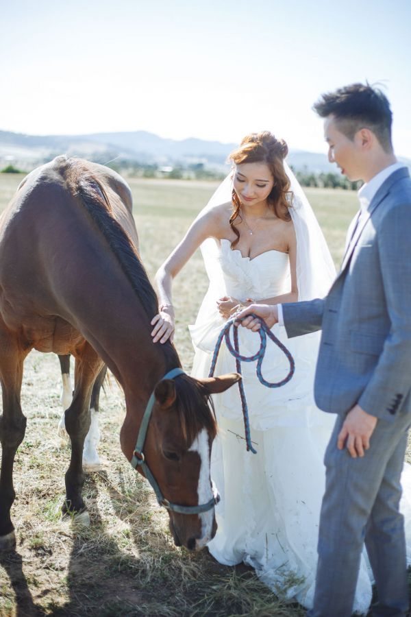 Angel and Andrew's pre-wedding session in Tasmania, frame 022
