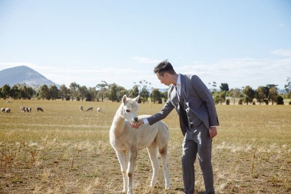 Angel and Andrew's pre-wedding session in Tasmania, frame 023