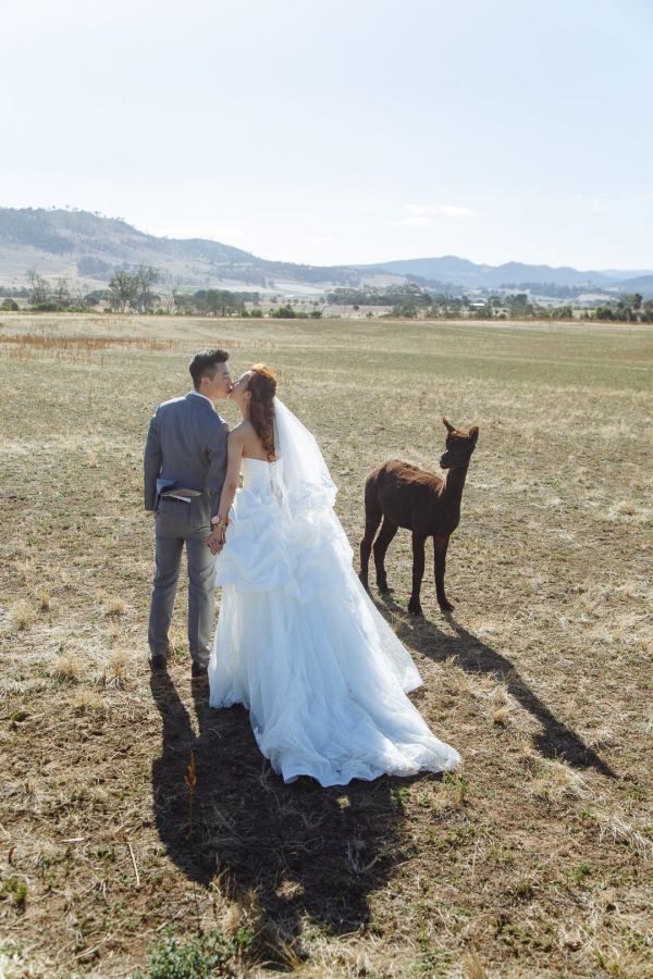 Angel and Andrew's pre-wedding session in Tasmania, frame 024