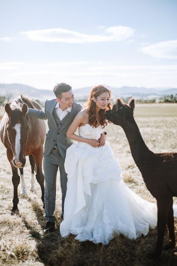 Angel and Andrew's pre-wedding session in Tasmania, frame 028