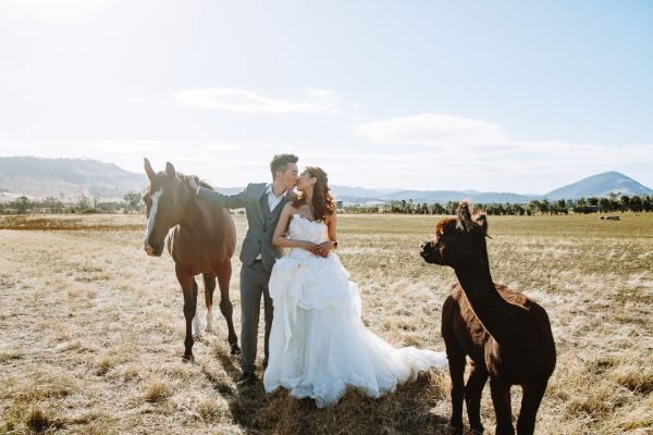 Angel and Andrew's pre-wedding session in Tasmania, frame 029