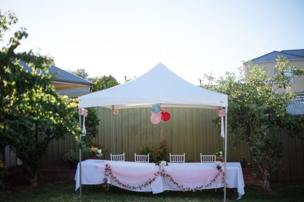 Wedding photograph 003 from Sanita and Rav's day at Thorndon Park Reserve