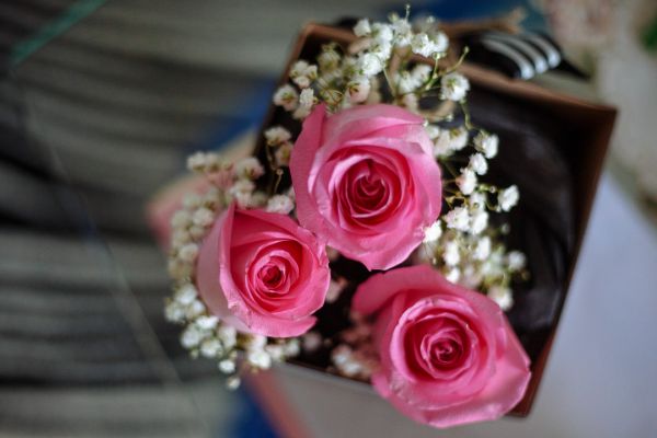 Sanita and Rav's wedding day in Paradise, frame 010
