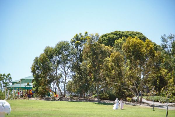 Sanita and Rav's wedding day in Paradise, frame 149