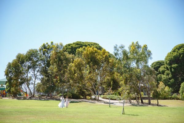 Thorndon Park Reserve wedding, Sanita and Rav, frame 150