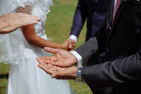 Thorndon Park Reserve wedding, Sanita and Rav, frame 177