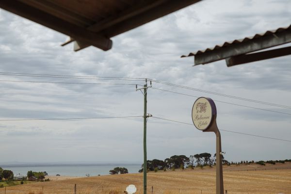 Elly and Marc's wedding day in Bellarine, frame 206