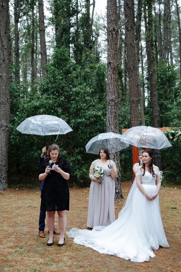 Bellview Estate Bilpin wedding, Kirstie and Hussein, frame 122