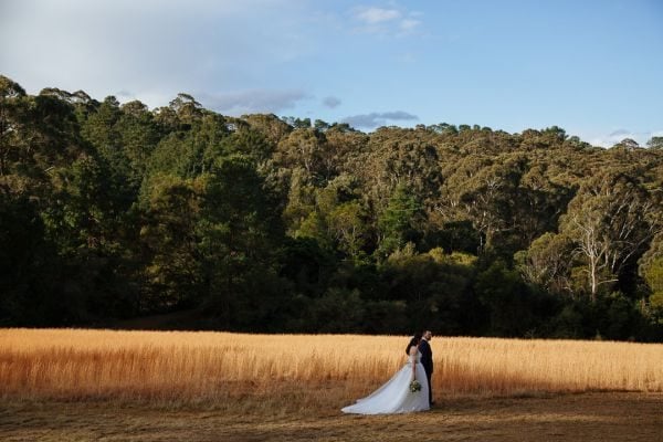 Bellview Estate Bilpin wedding, Kirstie and Hussein, frame 197