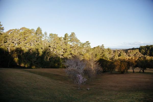 Kirstie and Hussein's wedding day in Bilpin, frame 211
