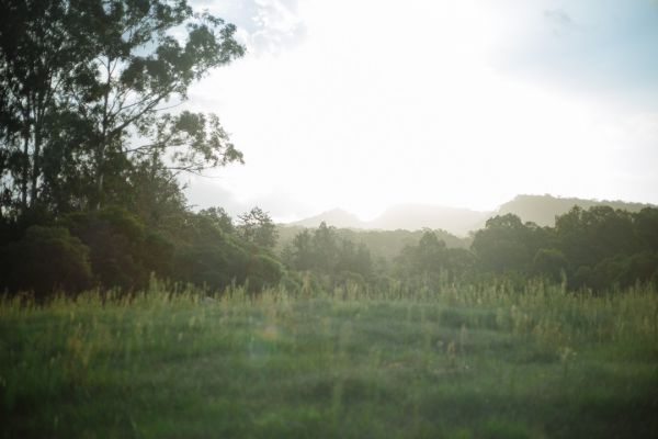 Lynan and Andrew's wedding day in Grafton NSW Country, frame 186