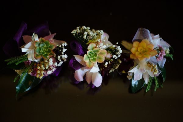 Joanna and Dominic's wedding day in Red Hill, frame 055