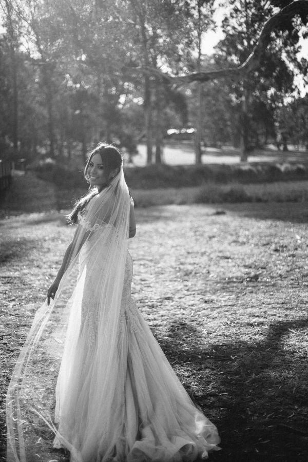 Joanna and Dominic's wedding day in Red Hill, frame 244