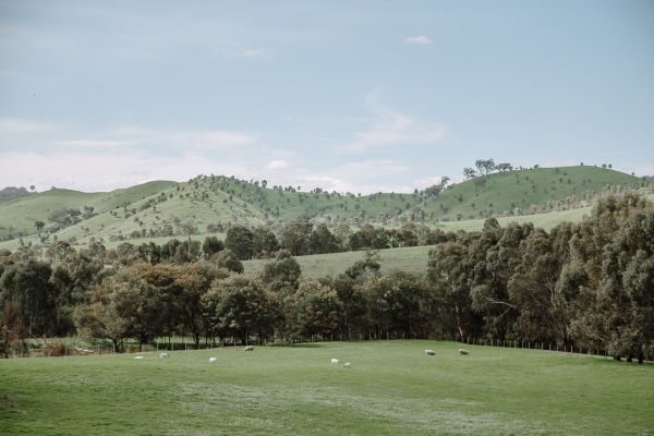 Flowerdale Estate wedding photo Strath Creek