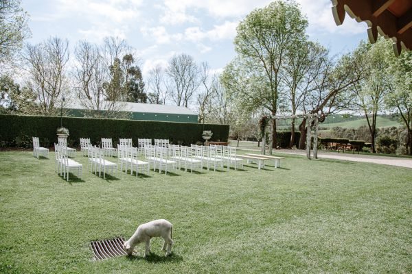 Flowerdale Estate wedding, Lyndsay and Jared, frame 029