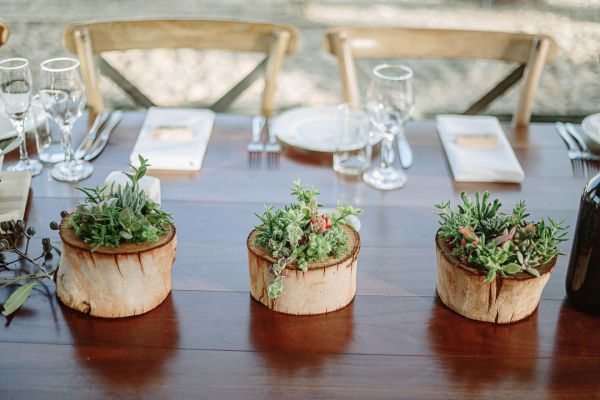 Lyndsay and Jared's wedding day in Strath Creek, frame 226