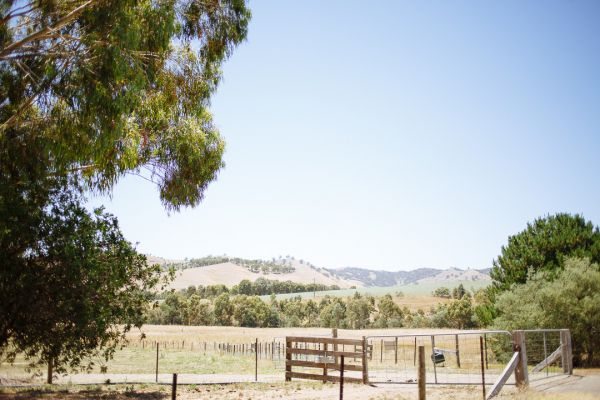 Camilla and Jason's wedding day in Strath Creek, frame 013