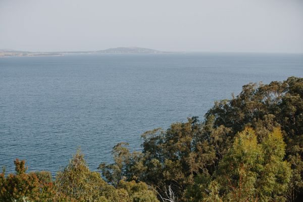 Caitlin and Dylan's wedding day in Taroona, frame 187