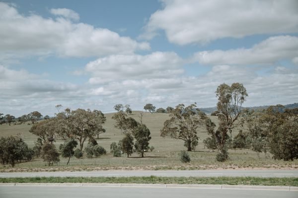 Hotel Kurrajong Canberra wedding photo Barton