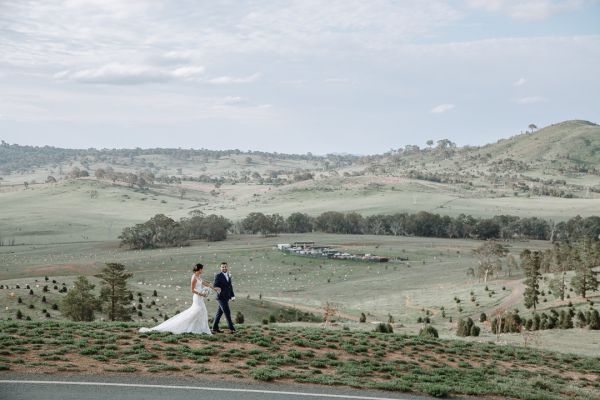 Wedding photograph 183 from Kate and David's day at Hotel Kurrajong Canberra