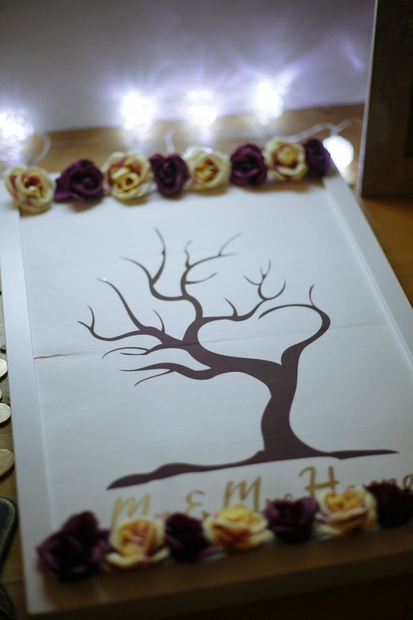 Rachel and Joseph's wedding day in Relbia, frame 220