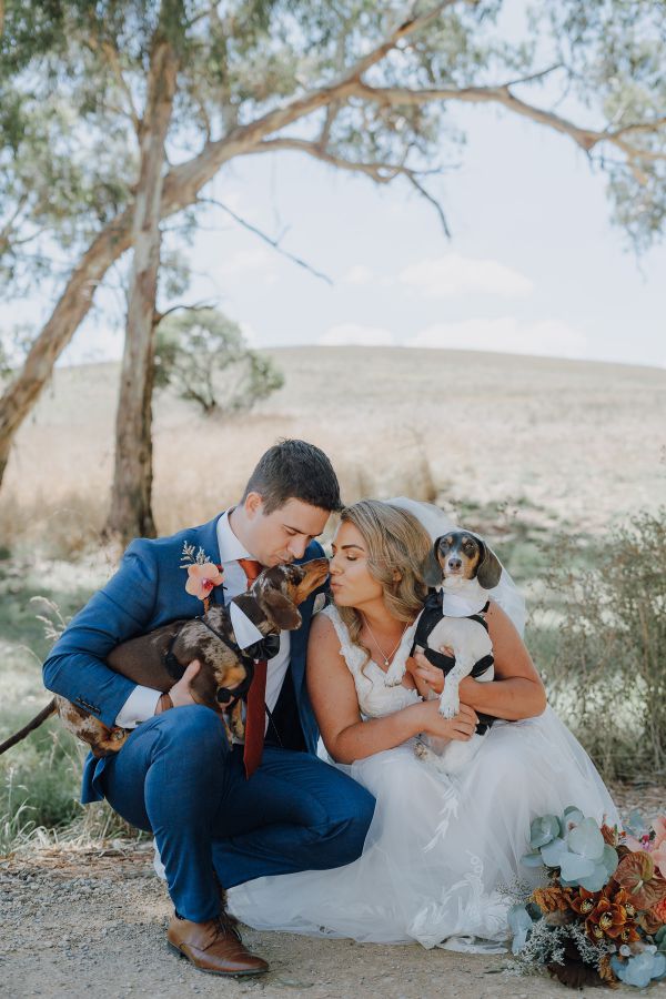 Longview Vineyard wedding, Ashleigh and Fraser, frame 029