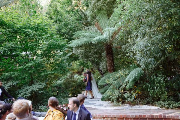 Wedding photograph 099 from Andrea and Steve's day at Lyrebird Falls