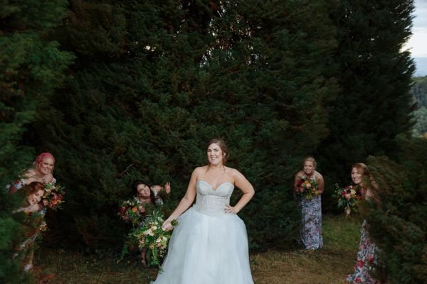 Wedding photograph 237 from the day at Lyrebird Falls