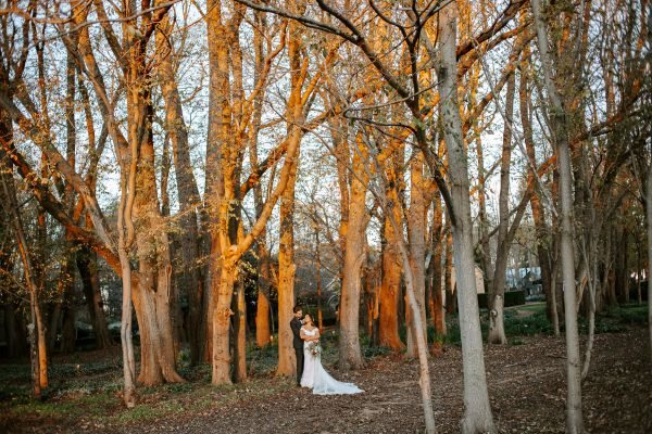 Mona Farm wedding, Erica and Matthew, frame 125