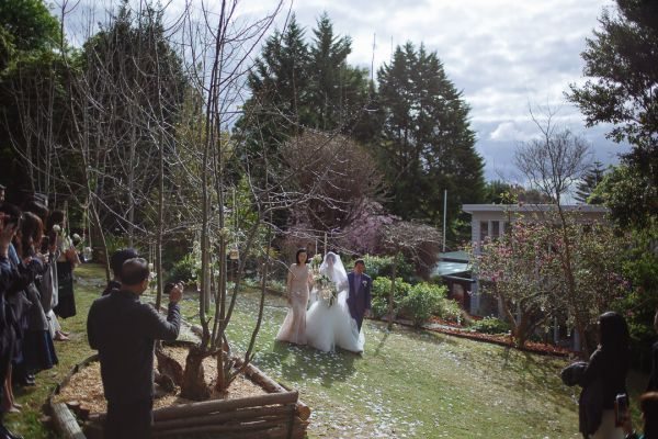 Shermaine and Raj's wedding day in Montrose, frame 192