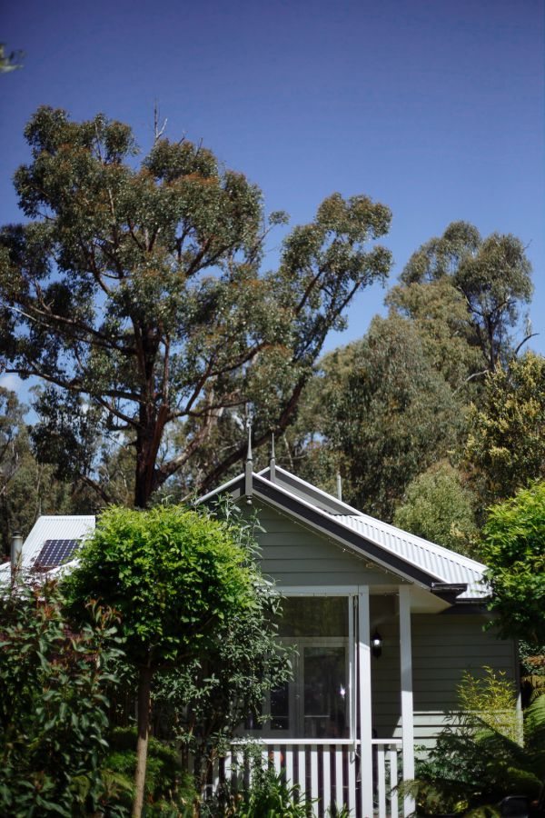Aroya and Jack's wedding day in Narbethong, frame 028