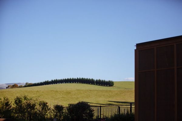 Aroya and Jack's wedding day in Narbethong, frame 232