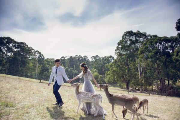 The couple's pre-wedding session in Melbourne, frame 009
