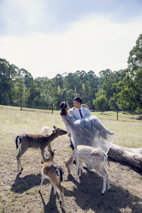 The couple's pre-wedding session in Melbourne, frame 010
