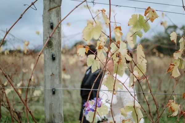Wedding photograph 036 from Alberta and Vincent's day at Rochford Wines