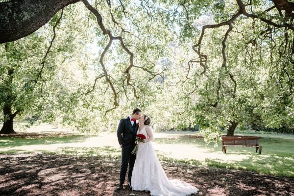 Royal Botanic Gardens Melbourne wedding, Stephanie and Nicholas, frame 161