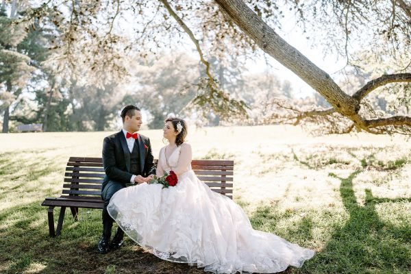 Royal Botanic Gardens Melbourne wedding, Stephanie and Nicholas, frame 248