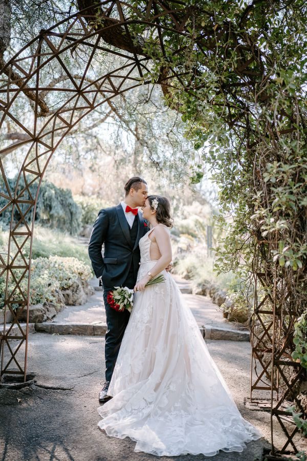 Royal Botanic Gardens Melbourne wedding, Stephanie and Nicholas, frame 269