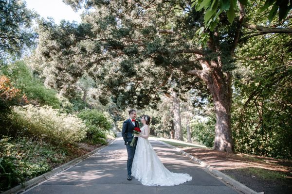 Stephanie and Nicholas' wedding day in Melbourne, frame 286