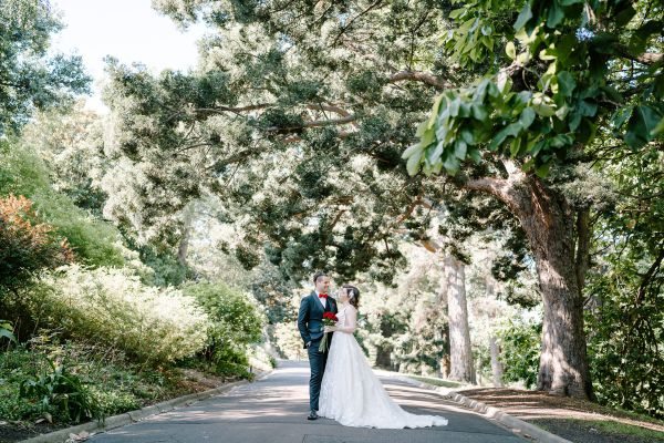 Royal Botanic Gardens Melbourne wedding, Stephanie and Nicholas, frame 290