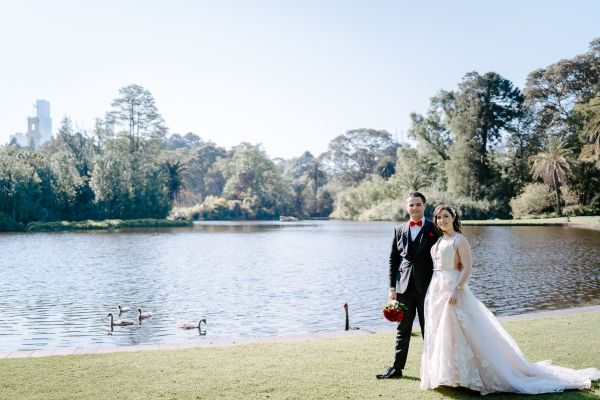 Wedding photograph 315 from Stephanie and Nicholas' day at Royal Botanic Gardens Melbourne