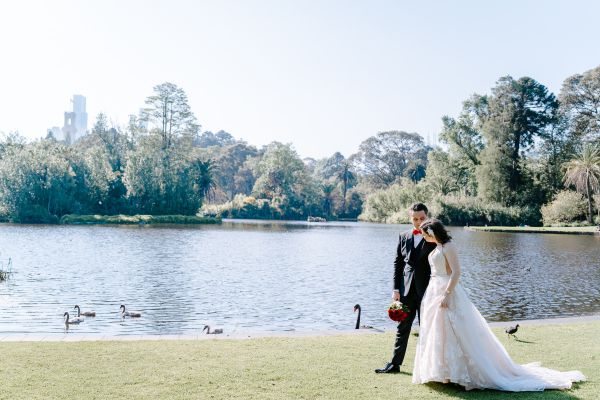 Wedding photograph 318 from Stephanie and Nicholas' day at Royal Botanic Gardens Melbourne