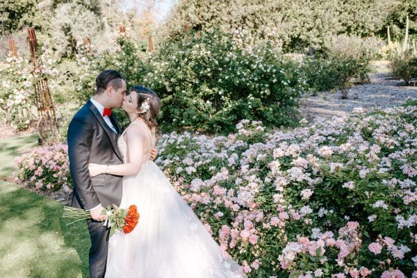 Royal Botanic Gardens Melbourne wedding, Stephanie and Nicholas, frame 332