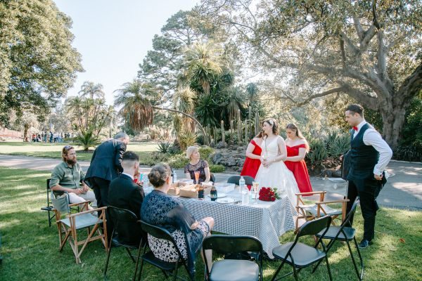 Royal Botanic Gardens Melbourne wedding, Stephanie and Nicholas, frame 335
