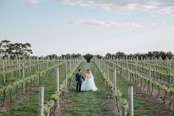 Russo Estate wedding, Bernadette and Shaun, frame 053